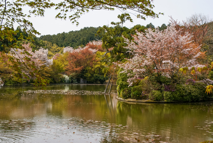 Ryōan-ji, Kyoto