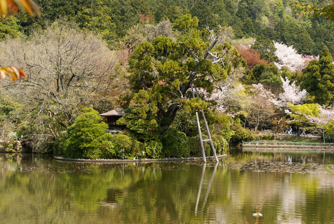 Ryōan-ji, Kyoto