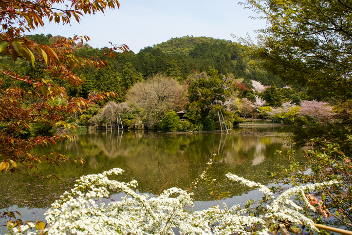 Ryōan-ji, Kyoto