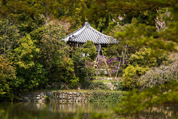 Ryōan-ji, Kyoto