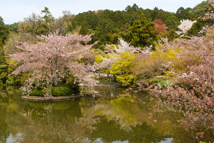 Ryōan-ji, Kyoto