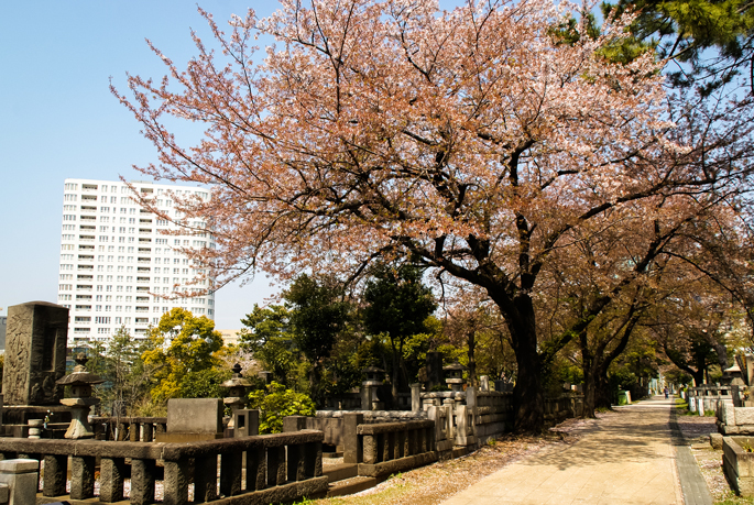 Cimetière d'Aoyama, Tokyo