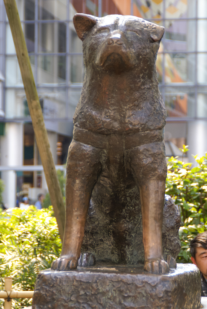 La statue d'Hachiko, Tokyo