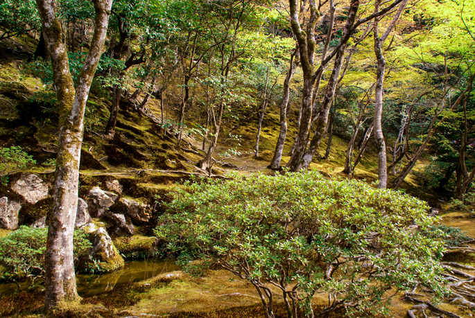 Le Ginkaku-ji, Kyoto