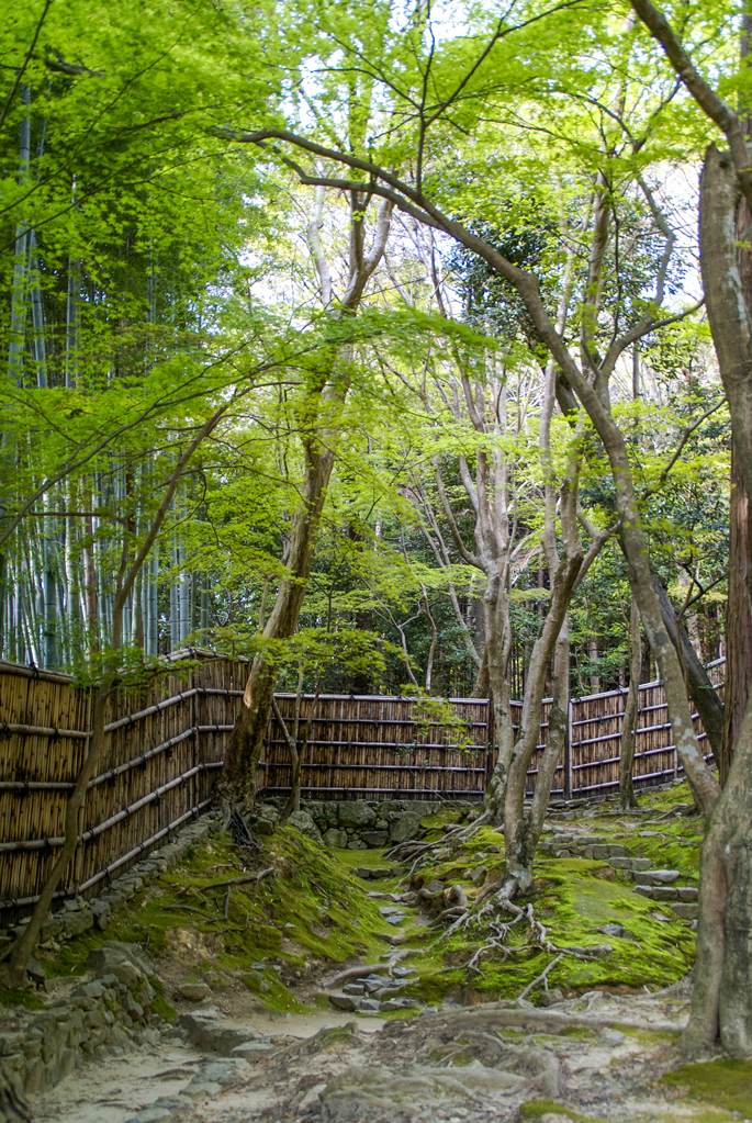 Le Ginkaku-ji, Kyoto