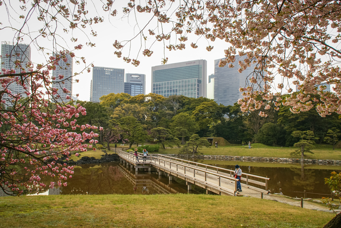 Jardin Hamarikyū, Tokyo