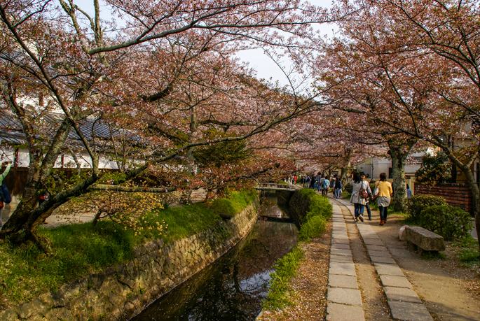 Chemin de la Philosophie, Kyoto