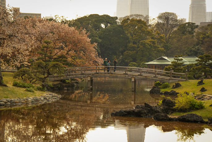 Jardin Hamarikyū, Tokyo