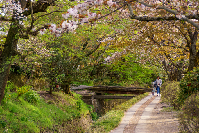 Chemin de la Philosophie, Kyoto