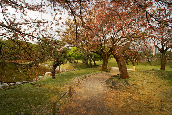 Jardin Hamarikyū, Tokyo