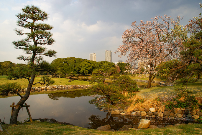 Jardin Hamarikyu, Tokyo