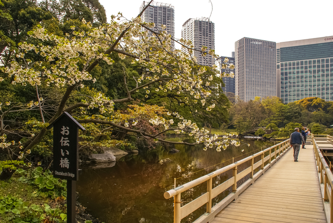 Jardin Hamarikyū, Tokyo