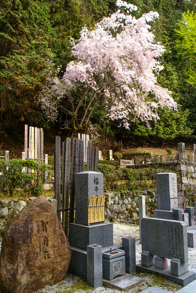 Honnen-in, Kyoto