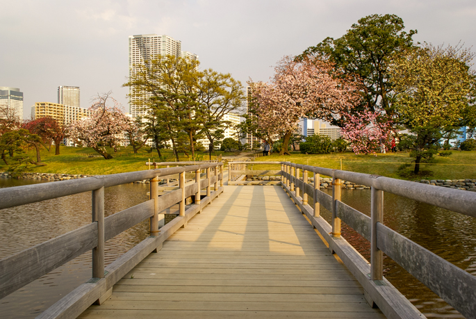 Jardin Hamarikyū, Tokyo