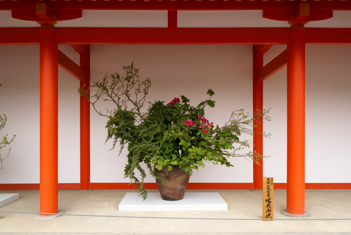 Palais Impérial, Kyoto