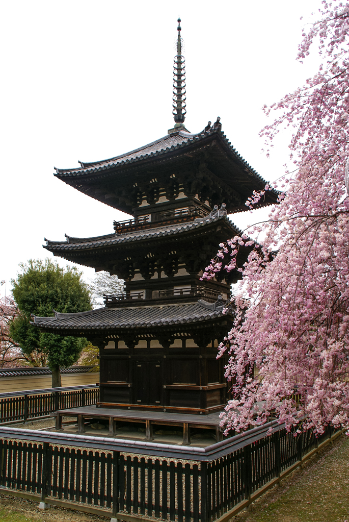 Pagode à deux étages, Kōfuku-ji, Nara