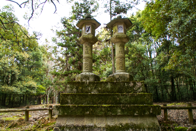 Forêt de Kasugayama, Nara