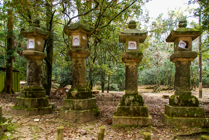 Forêt de Kasugayama, Nara