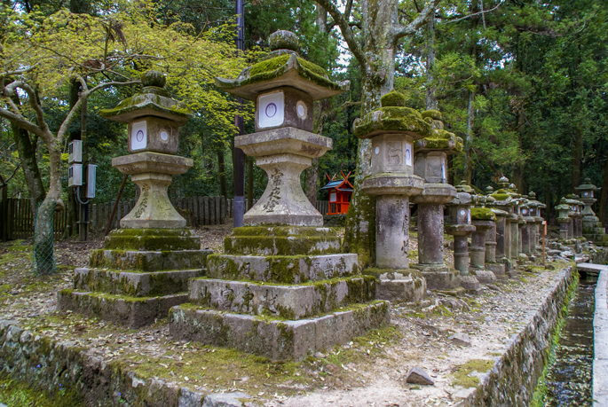 Forêt de Kasugayama, Nara