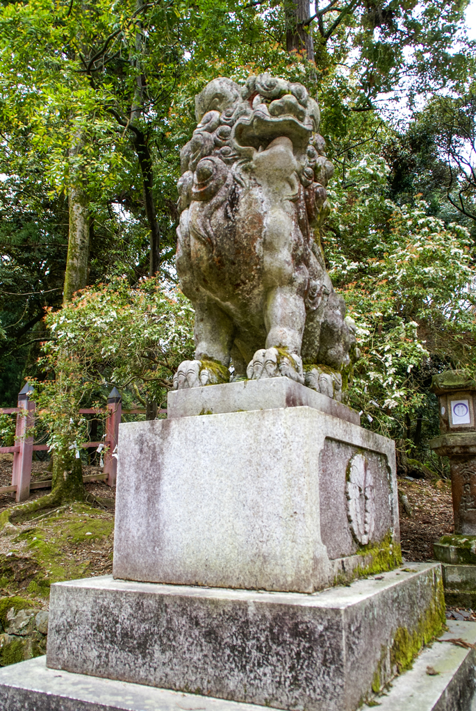 Sanctuaire Kasuga Taisha, Nara