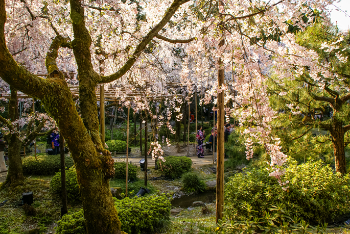 Jardin Minami Shin'en, Heian Jingu, Kyoto