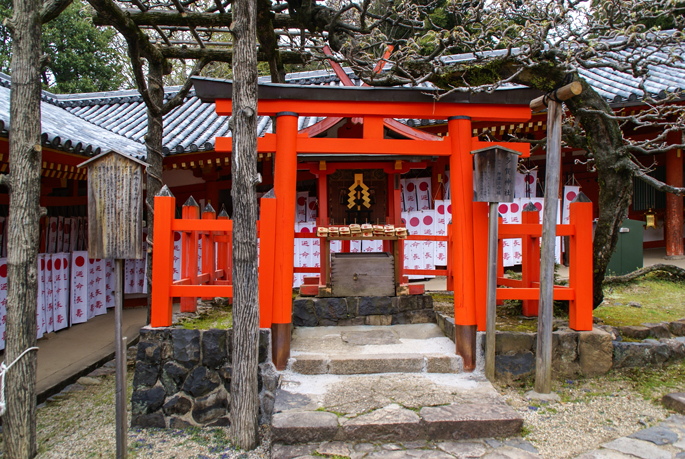 Sanctuaire Kasuga Taisha, Nara