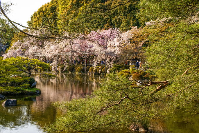 Jardin Higashi Shin'en, Heian Jingu, Kyoto