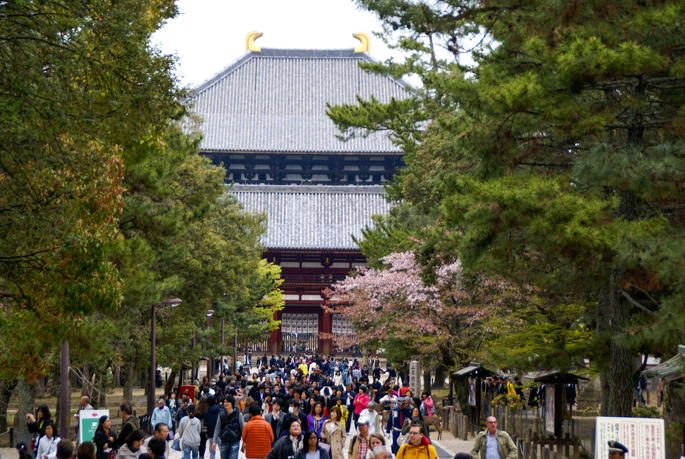 Todai-ji, Nara