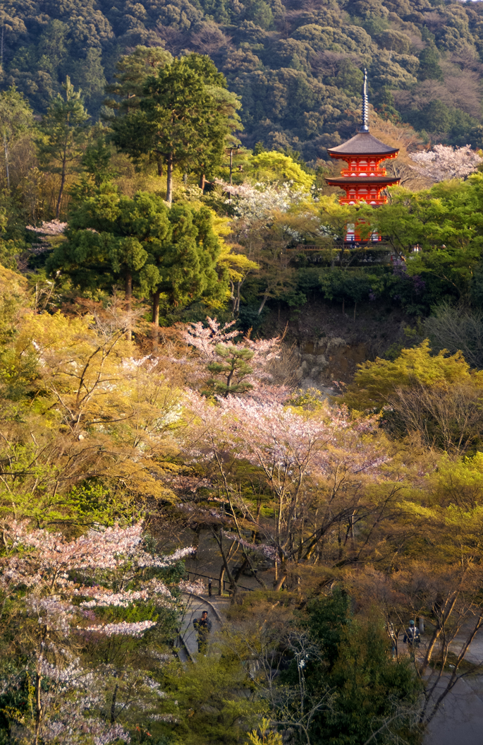 Kyomizu-dera, Kyoto