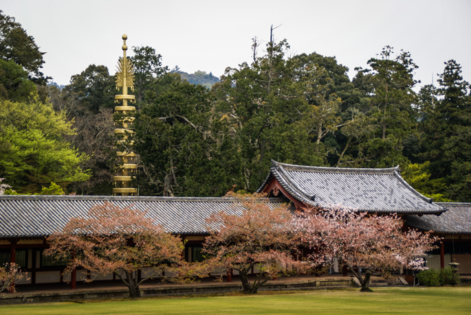 Todaiji, Nara